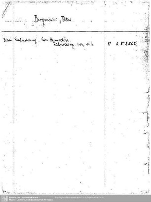 Bergmaier, Peter