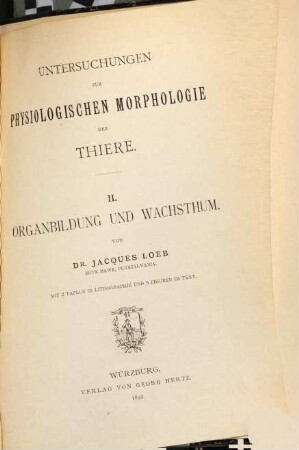 Untersuchungen zur physiologischen Morphologie der Thiere, II