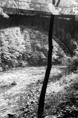 Steinbrücke im Tharandter Wald