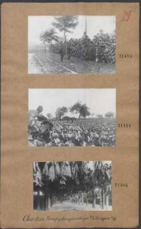 Kriegsgefangenenlager Dillingen a.D. (Feldarbeit)