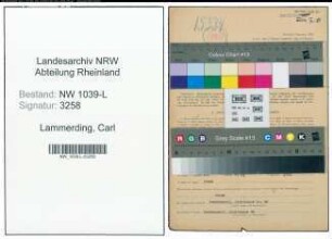 Entnazifizierung Carl Lammerding , geb. 28.11.1893 (Auktionator)