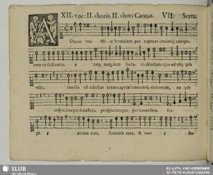 VII. Adiuro vos filiae Jerusalem