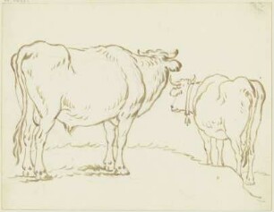 Zwei Rinder, der etwas erhöht stehende Ochse links in leichter Verkürzung rückansichtig, den Kopf abgewandt, das rechte Rind diesem in starker Verkürzung abgewandt, eine Glocke um den Hals gebunden