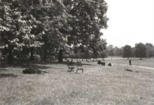 London. Hyde Park