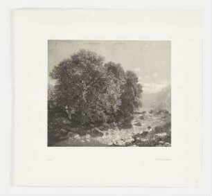 Berglandschaft mit ruhendem Mann und Bäumen, Blatt 65 der Folge "Werke"