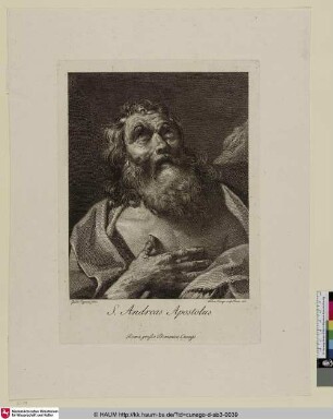 S. Andreas Apostolus
