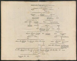 Illustriss. familiae Schaumburgiae stemma e Crancii Saxonia.