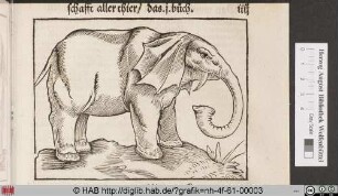 [Elefant]