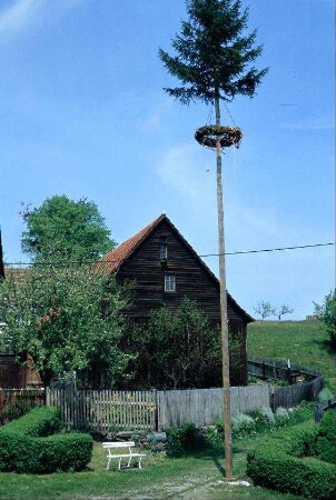 Dorfplatz mit Maibaum
