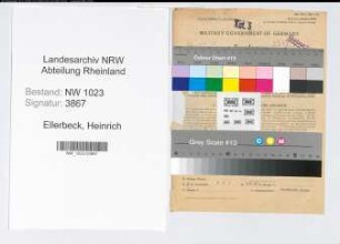 Entnazifizierung Heinrich Ellerbeck , geb. 02.08.1891 (Landesamtmann)