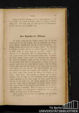 Das Begießen der Pflanzen.