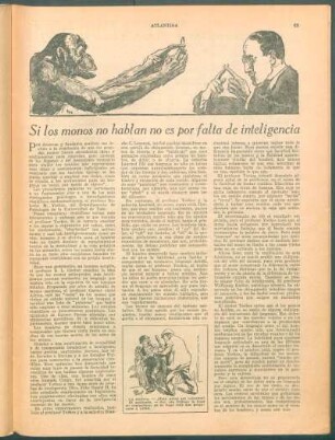 Si los monos no hablan no es por falta de inteligencia