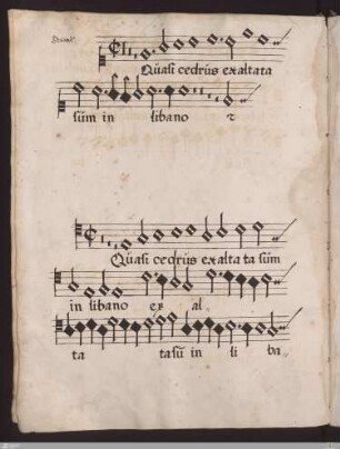 Orlandus : Quasi cedrus exaltata