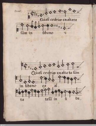 Orlandus : Quasi cedrus exaltata