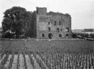 Brömserburg in Rüdesheim