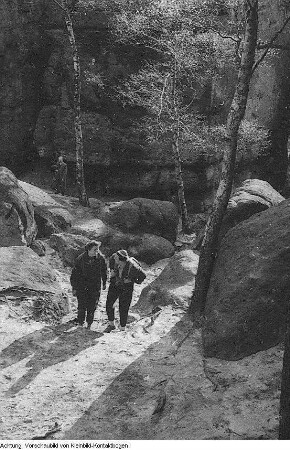 Sächsische Schweiz, Hohnstein mit R. König, Blick auf den Falkenstein, Bloßstock, 1956 & Sächsische Schweiz, Sprung von Heinz Böttger am Hohen Porstein, 1955 & Sächsische Schweiz, Riesengrundschanze, Sommerskispringen auf Sprungmatten