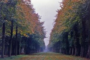 Jersbeker Park: Hauptallee: 19. Oktober 2001