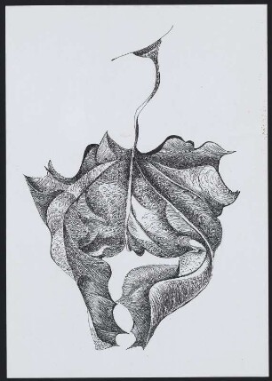 Blatt