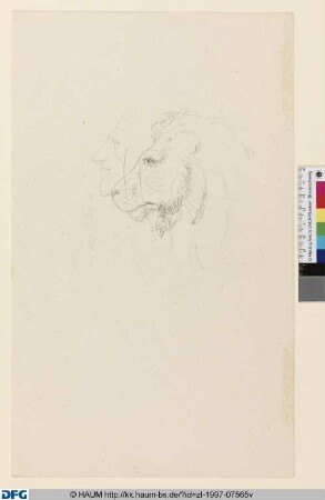 Skizze eines Löwen- und eines Menschenkopfes im Profil nach links (durchgestrichen)