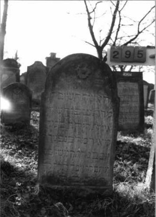 Grabstein 295 (Index: 100115887) Material: Sandstein Zustand: verwittert mit Textverlust Maße HxBxT: 117x60x12 cm Beschreibung: Stele mit eingezogenem Rundbogenabschluß, eingetieftes Schriftfeld Symbolik: Blüte: Grabstein 295