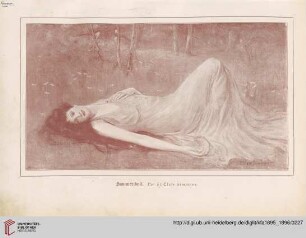 [Heft 12 (15. März 1896)]