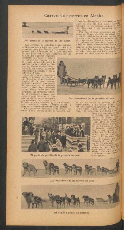 Carreras de perros en Alaska