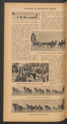 Carreras de perros en Alaska