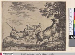 [Hirte mit Ziegen; Shepherd with flock of goats]