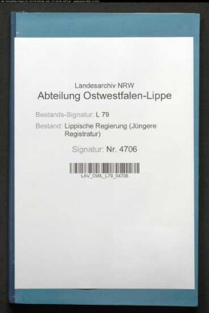 Anstellung der Amtschirurgen für den Bezirk Detmold, Band 1(!)
