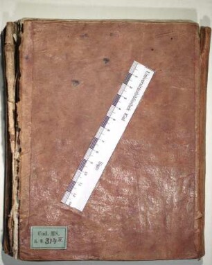 1, Band 3: Aufzeichnungen während der Arabischen Reise