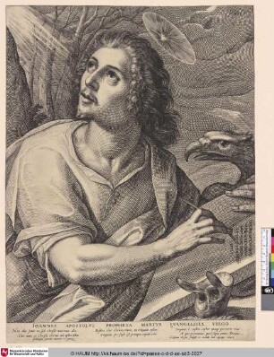Ioannes apostolus propheta martyr evangelista virgo [Hl. Johannes; St. John; St. Jean]