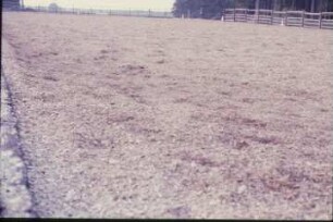 Fotografie: Pferdehaltung, Reitplatz