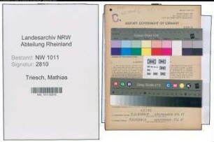 Entnazifizierung Mathias Triesch , geb. 01.11.1920 (Fleischer)