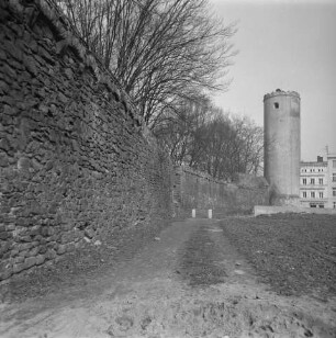Stadtmauer, Patschkau, Polen