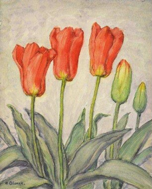 "Tulpen"