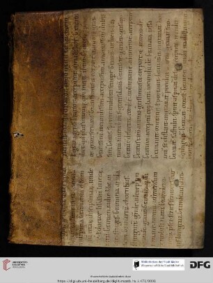 Paul Brückner, Commentaria in quattuor Institutionum libros : Vorlesungsmitschrift von Andreas Sinapius (Teil 2)