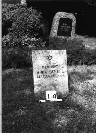 Grabstein 14 (Index: 100085344) Maße HxBxT: 54x38x3 cm Beschreibung: Stele, rechteckig Symbolik: Davidstern: Grabstein 14