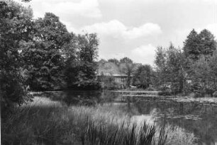 Grünewald-Sella. Blick über den Mühlteich zur Mühle