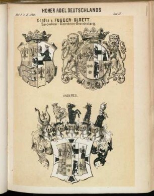 Taf. 17. Grafen v. Fugger-Gloett. Speciallinie: Dietenheim-Brandenburg.