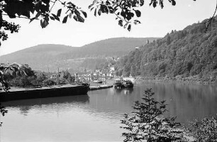 Hirschhorn: Neckarschleife