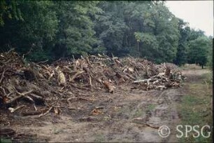 Potsdam, Park Sacrow, Holzlagerplatz unweit des Forsttores.
