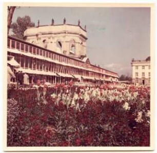 Bundesgartenschau 1955, Kassel: Pflanzen