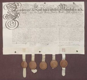 Das Adelige Damenstift zu Pforzheim und die Familie von Bettendorff einigen sich zur Beilegung eines Prozesses wegen Gütern zu Ladenburg, Heddesheim, Altwiesloch und Baiertal.