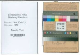 Entnazifizierung Theo Brands , geb. 07.07.1888 (Angestellter)