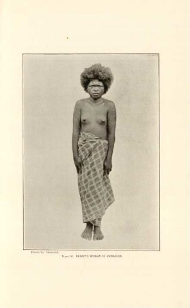 Plate VI. Negrito woman of Zambales