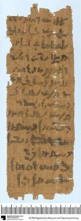 Demotischer Papyrus, Hochformatbrief