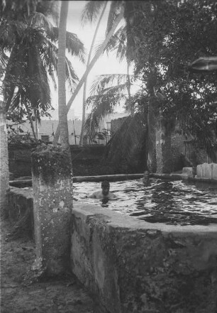 "Nilpferd-Bad" : Expeditionsmitglieder baden in einem Bassin