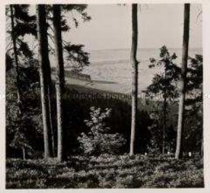 Thüringer Wald