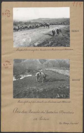 Tragtierkolonne auf dem Marsch von Krusevac nach Aleksinac
