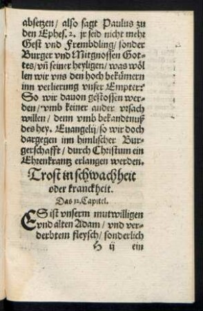 Trost in schwachheit oder kranckheit. Das 12. Capitel.